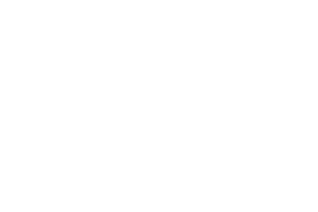 Old Mutual Investment Group